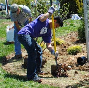 GE volunteer at Redwood