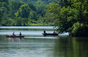 Miami Whitewater Forest  in Hamilton County