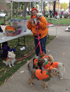 YWCA of Cincinnati Bark Out Against Battering Event at Washington Park 