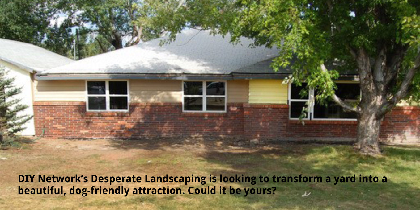DIY Network's Desperate Landscapes | Good Things Going Around
