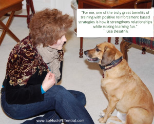 pet training quote by Lisa Desatnik