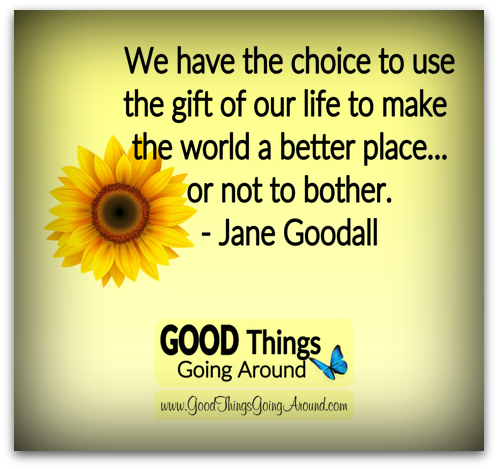 quote from Jane Goodall about choices in life