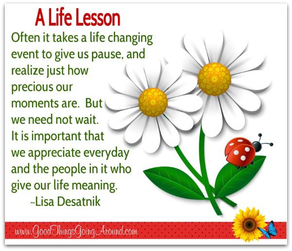 quote about life by Lisa Desatnik