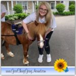 Maggie's Mini Therapy Horses is a Cincinnati area nonprofit that brings miniature horses to local hospitals, retirement communities and other places.