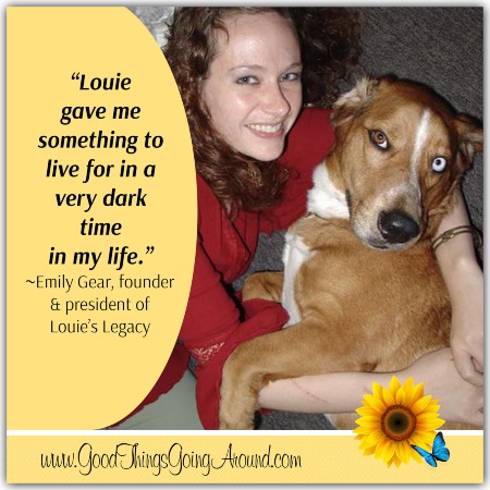 Emily Gear, founder of Louie's Legacy dog rescue in Cincinnati, shares her story of why she started the organization.
