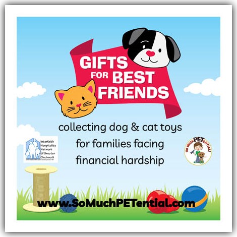 Gifts for Best Friends Cincinnati dog and cat toy collection for homeless and low income families
